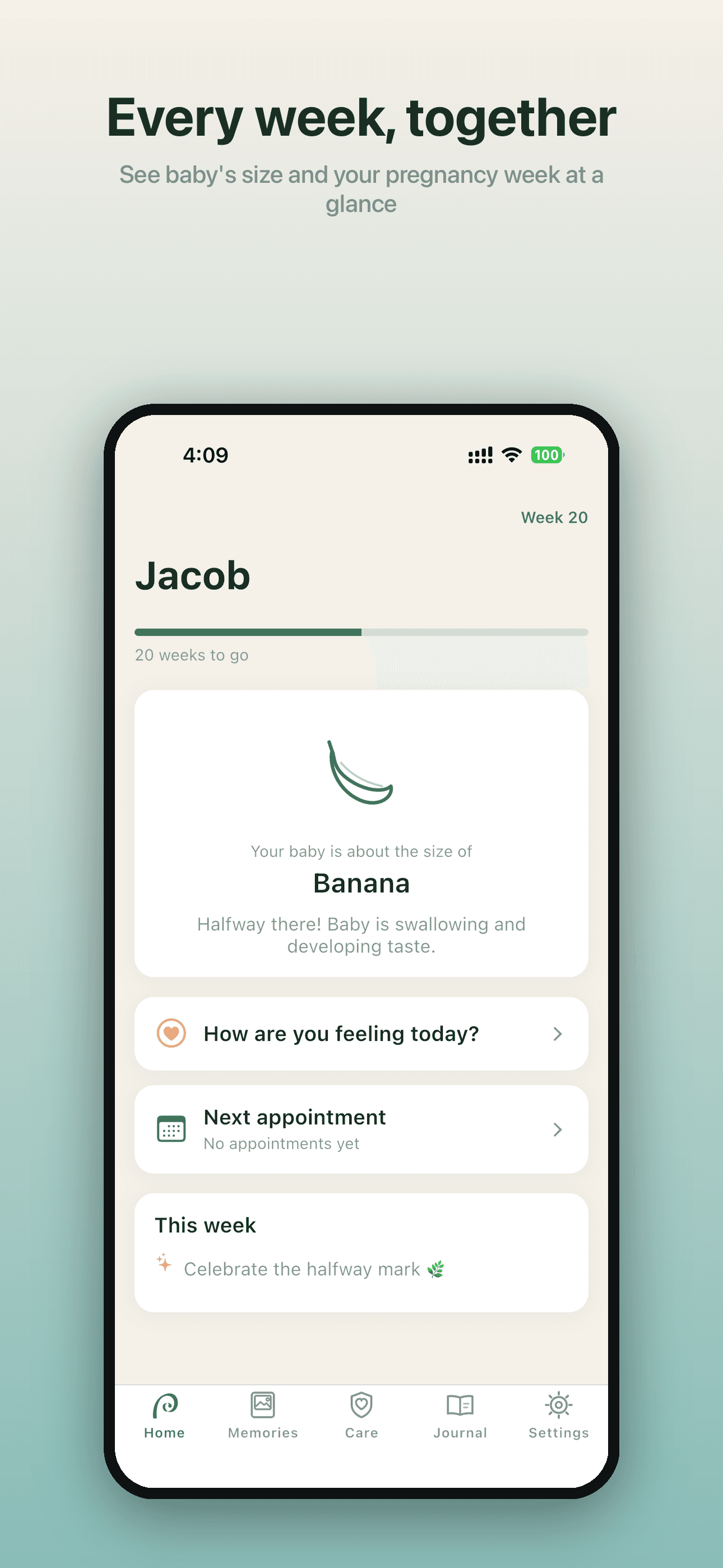Koru — weekly pregnancy home